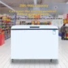 Refrigeration Deep Shock Freezer, 1-2, 110V-240V - view 3