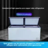 Refrigeration Deep Shock Freezer, 1-2, 110V-240V - view 4