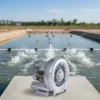 Ring Blower, 380V, Electric