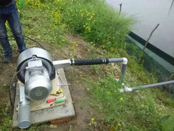 Ring Blower, 3KW, 4HP - view 3