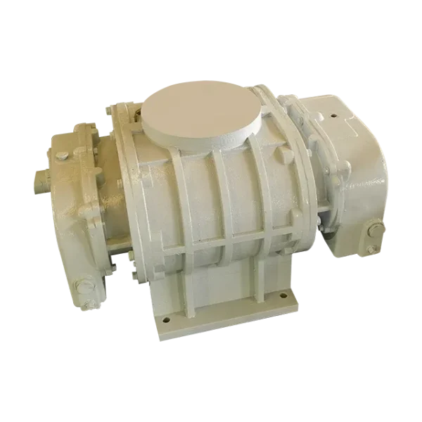 Ring Blower, 50Hz, Cast - view 2