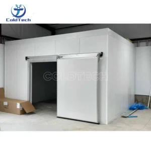 Room Refrigeration Storage Freezer, 220V, R134a