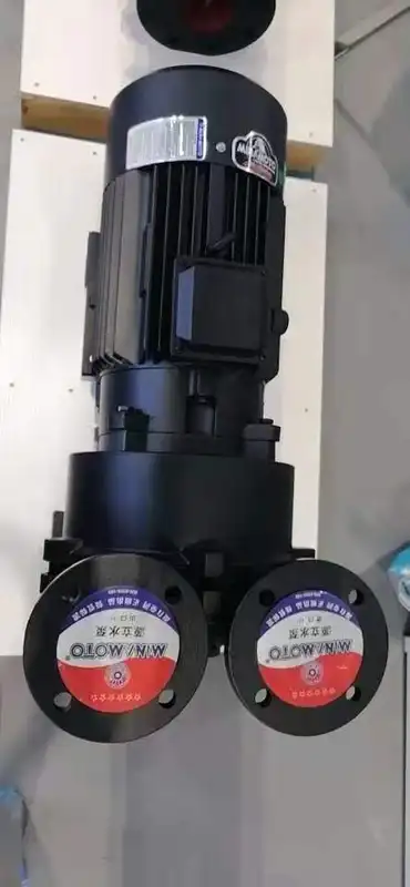 Roots Blower, 3HP, 3-Lobe - view 2