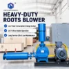Roots Blower, 3HP, 5HP, 10HP - view 3