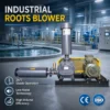 Roots Blower, 3HP, 7.5KW, ISO - view 2