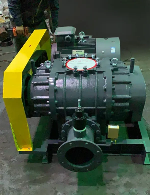 Roots Blower, 45kW, 80kPa - view 5