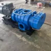 Roots Blower, Cast, 220V - view 6