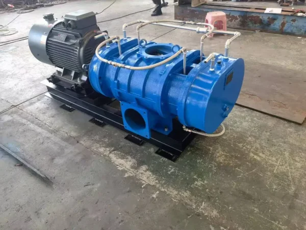 Roots Blower, Cast, 220V - view 6