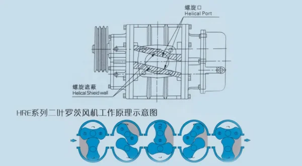 Roots Blower, FUTI, TWO, BLADES, HORIZONTAL - view 4