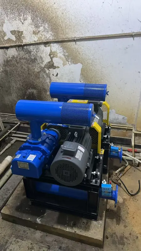 Roots Blower, ISO9001, 220 V, Electric - view 6
