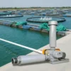 Roots Blower, LOGTTECH, 220V, Cast