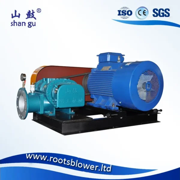 Roots Blower, MTRF, RSR, Cast - view 3