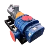 Roots Blower, RSR, 380V, 50HZ - view 2