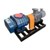 Roots Blower, RSR, 380V, 50HZ - view 3