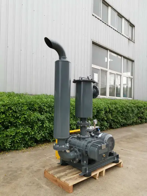Rotary Lobe Air Blower, 380 V, Electric - view 5