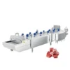 Saving Iqf Tunnel Freezer, 220 V, customize - view 3