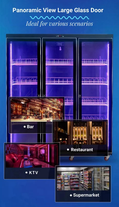 Screen Beverage Viewing Refrigerator, LED, 220V-240V, R290 - view 4