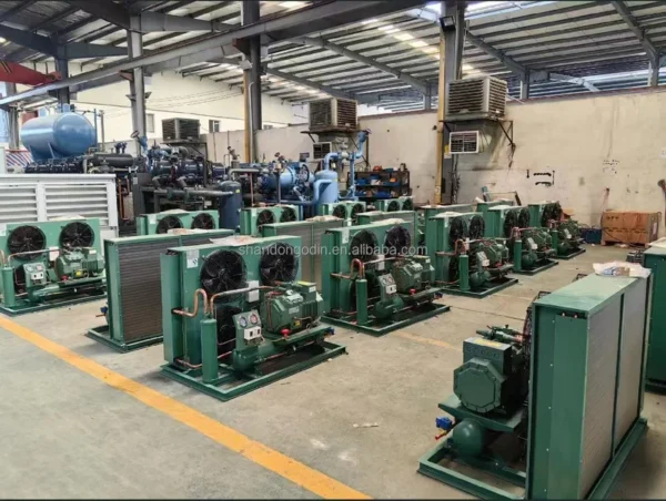 Semi Hermetic Compressor, 5P, 6P, 8P, 380V - view 5
