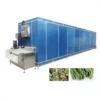 Shock Cryogenic Tunnel Freezer, ORME, 220v, 36kw