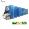 Shock Cryogenic Tunnel Freezer, ORME, 220v, 36kw - view 6