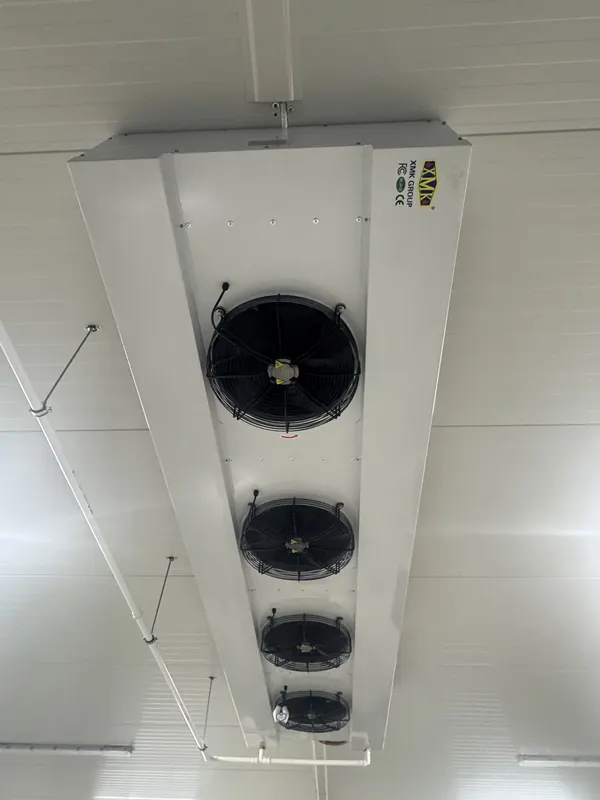 Side Blow Air Cooler, XMK, Ceiling - view 3