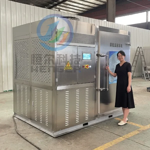 Small Quick Freezer, 100-1000kg, Plate Freezer - view 2