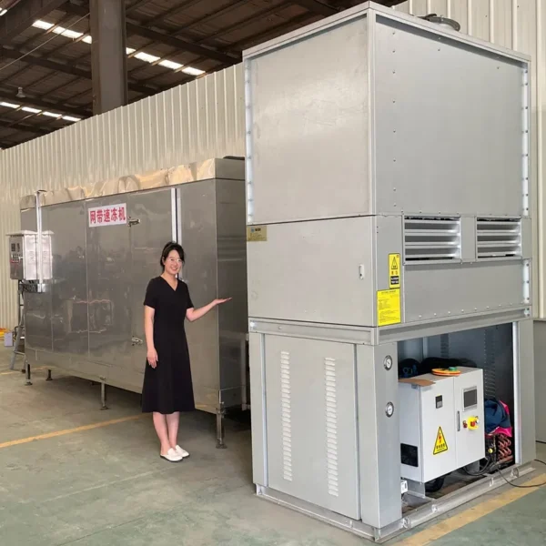 Small Quick Freezer, 100-1000kg, Plate Freezer - view 6