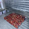 Small Tunnel Iqf Freezer, 220V - view 6
