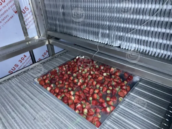 Small Tunnel Iqf Freezer, 220V - view 6