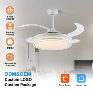 Smart Tuya Invisible Fan, Ceiling, KBS-Y42303