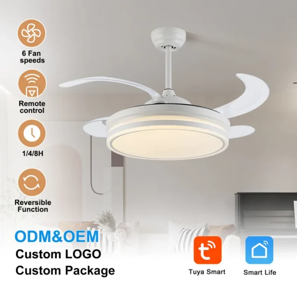 Smart Tuya Invisible Fan, Ceiling, KBS-Y42303