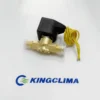 Solenoid Valve, THERMAL, MASTER, CTS, 12V - view 2