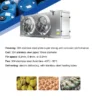 Stainless Steel Air Cooler, 304, 12HP, SAL242, 500mm - view 4