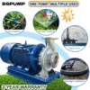 Stainless Steel Centrifugal Pump, Cast, customizable - view 4
