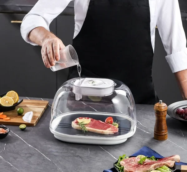 Stainless Steel Defroster Plate, 2000, Home Hot Plate - view 2