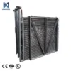 Stainless Steel Finned Tube, 220 V