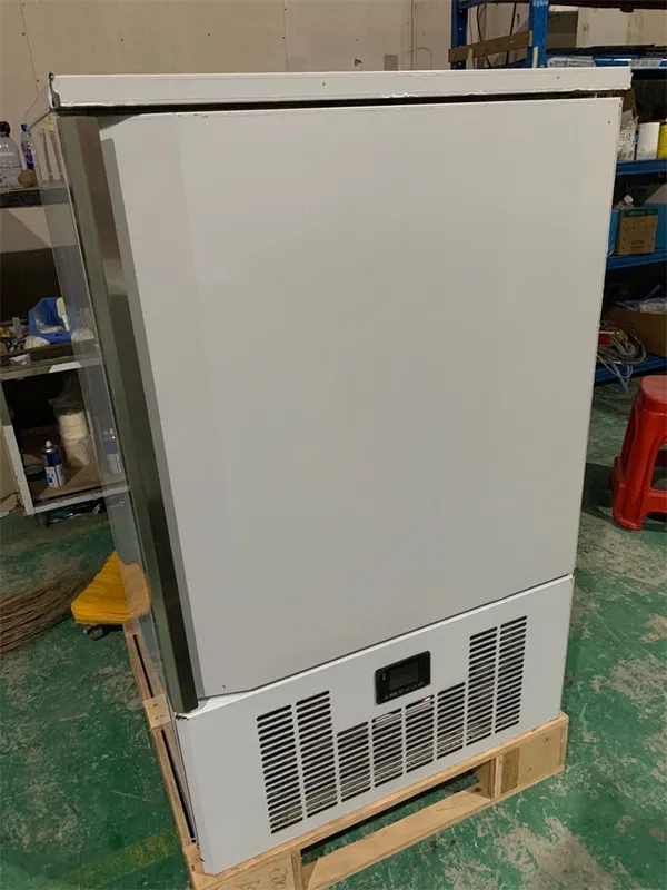 Stainless Steel Shock Freezer, 220V-240V, 250L - view 2