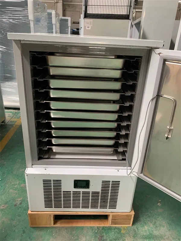 Stainless Steel Shock Freezer, 220V-240V, 250L - view 3