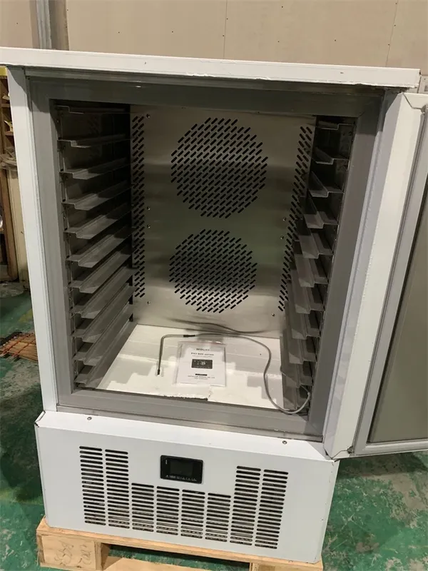 Stainless Steel Shock Freezer, 220V-240V, 250L - view 4