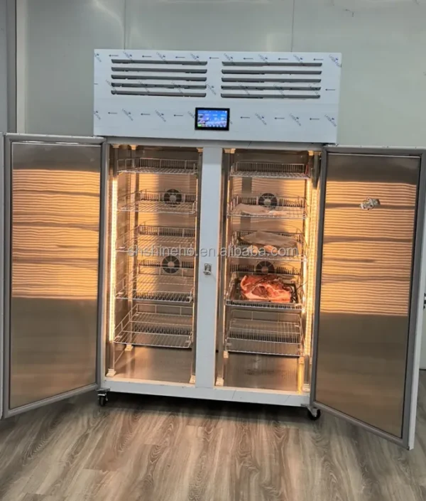 Stainless Steel Thawing Freezer, SHINEHO, 220 V - view 4