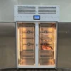 Stainless Steel Thawing Freezer, SHINEHO, 220 V - view 5