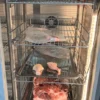 Stainless Steel Thawing Freezer, SHINEHO, 220 V - view 6