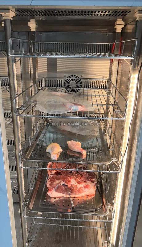 Stainless Steel Thawing Freezer, SHINEHO, 220 V - view 6