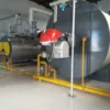 Steam Boiler, 1-20t, forced circulation - view 5
