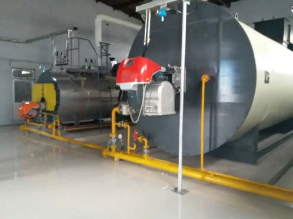 Steam Boiler, 1-20t, forced circulation - view 5