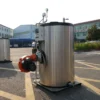 Steam Boiler, 100kg-600kg, Q345R steel plate - view 6