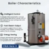 Steam Boiler, 10HP, 20HP, 30HP, 35HP - view 2