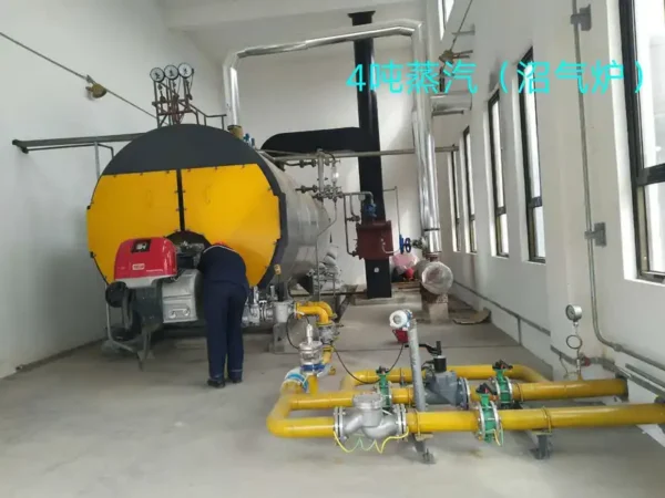 Steam Boiler, 4Ton, 12-480v, 1w-10000w - view 5