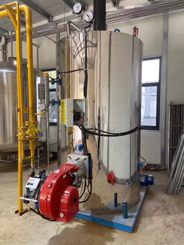 Steam Boiler, 500kg, Natural Circulation - view 5