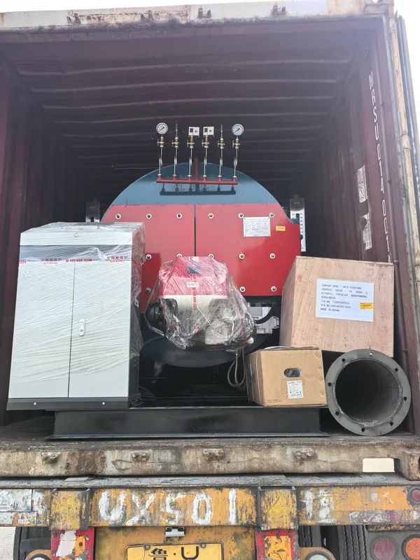 Steam Boiler, AIX, WNS, 1-30Ton, Q245R - view 5